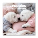 CALENDRIER 2027 30X30 CHIENS