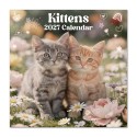CALENDRIER 2027 30X30 CHATS