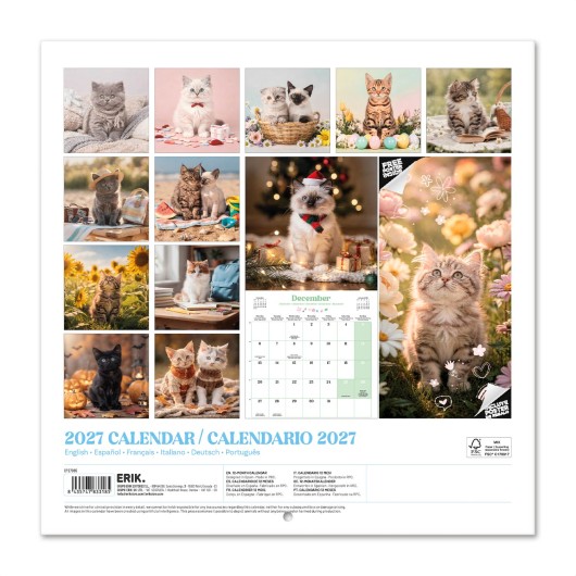 CALENDRIER 2027 30X30 CHATS