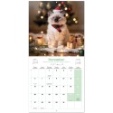CALENDRIER 2027 30X30 CHATS