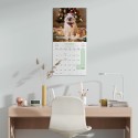 CALENDRIER 2027 30X30 CHATS