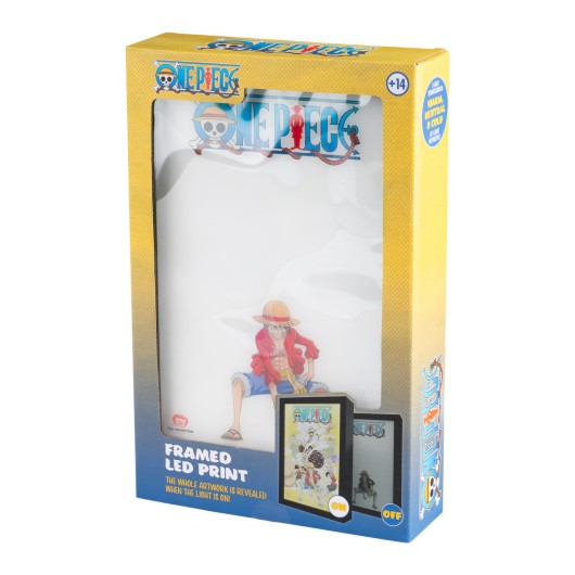 ILLUSTRATION LED ENCADRÉE ONE PIECE