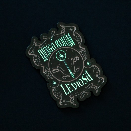 MAGNET HARRY POTTER WINGARDIUM LEVIOSA