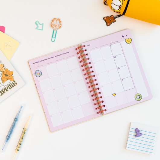 AGENDA SCOLAIRE 2026/2027 SEMAINIER A5 12 MOIS GARFIELD