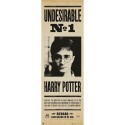 POSTER PORTE HARRY POTTER UNDESIRABLE Nº1