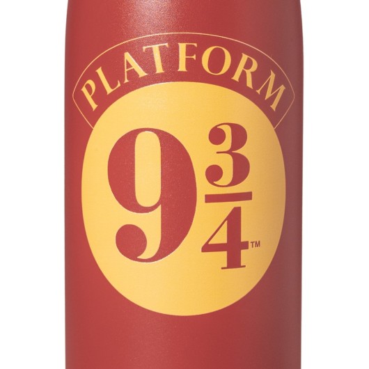 BOUTEILLE MÉTALLIQUE HOT&COLD 500ML HARRY POTTER QUAI 9 3/4