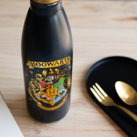 BOUTEILLE MÉTALLIQUE HOT&COLD 500ML HARRY POTTER POUDLARD