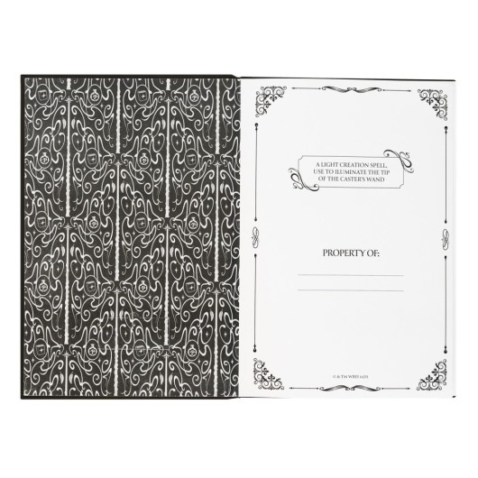 CARNET PREMIUM A5 AVEC LUMIERE HARRY POTTER LUMOS MAXIMA