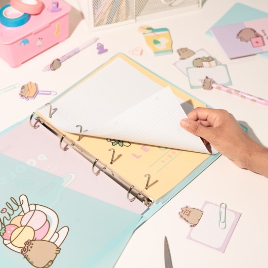 CLASSEUR 4 ANNEAUX POLYPROPYLÈNE PUSHEEN