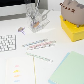 SET DE STYLOS EFFAÇABLES PUSHEEN 2