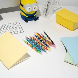 SET DE 12 FEUTRES EFFAÇABLES MINIONS 2