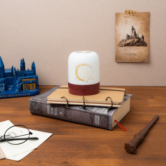 LAMPE D’AMBIANCE HARRY POTTER HEDWIG