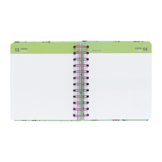 AGENDA SCOLAIRE 2026/2027 JOURNALIER M 11 MOIS AMELIE