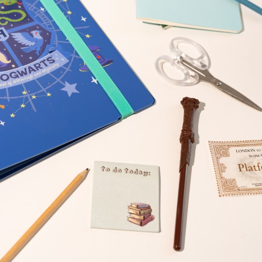 CLASSEUR 4 ANNEAUX POLYPROPYLÈNE HARRY POTTER