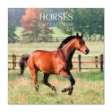 CALENDRIER 2027 30X30 CHEVAUX