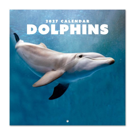 CALENDRIER 2027 30X30 DAUPHINS