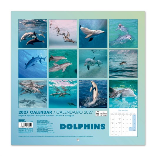 CALENDRIER 2027 30X30 DAUPHINS