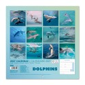 CALENDRIER 2027 30X30 DAUPHINS