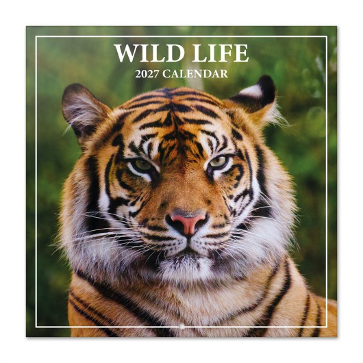 CALENDRIER 2027 30X30 WILDLIFE