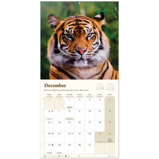 CALENDRIER 2027 30X30 WILDLIFE