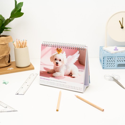 CALENDRIER DE BUREAU 2027 CHIENS