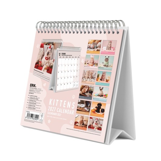 CALENDRIER DE BUREAU 2027 CHATS