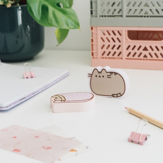 SET DI GOMME PER CANCELLARE JUMBO PUSHEEN MOMENTS