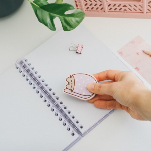SET DI GOMME PER CANCELLARE JUMBO PUSHEEN MOMENTS