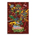 POSTER TORTARUGHE NINJA