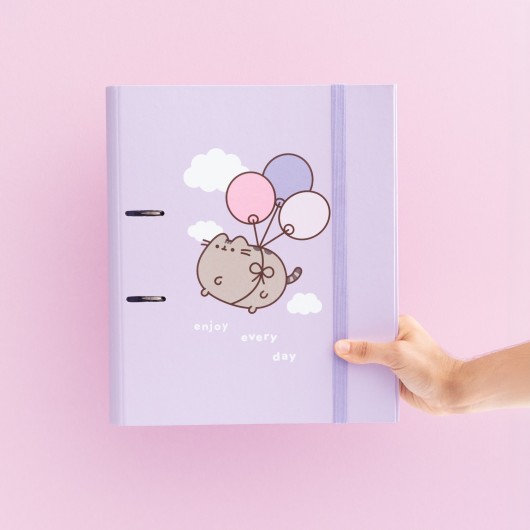 RACCOGLITORE A 2 ANELLI PUSHEEN MOMENTS
