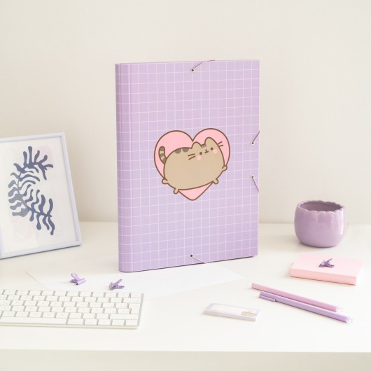 CARTELLA 3 LEMBI PUSHEEN MOMENTS