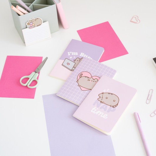 PACK 3 QUADERNI A6 PUSHEEN MOMENTS