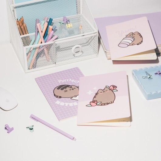 PACK 3 QUADERNI A5 PUSHEEN MOMENTS