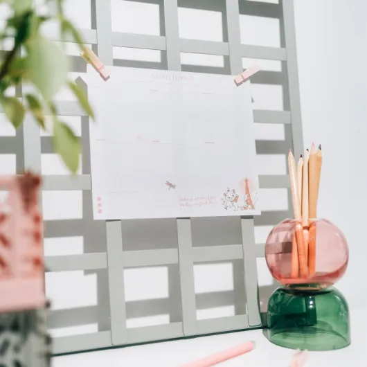 PLANNER SETTIMANALE CON NOTE ADESIVE ANIFICADOR SEMANAL CON NOTAS ADHESIVAS DISNEY BONJOUR MINOU