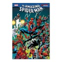 POSTER MARVEL SPIDERMAN RAGNATELA