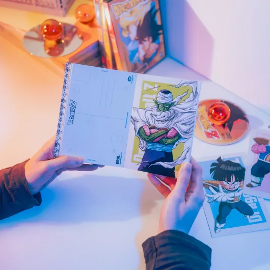 LIBRO DI CARTOLINE DRAGON BALL