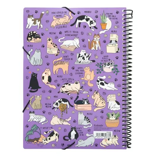 CARTELLA DI COPERTINE MEOW MEOW WEIRD CATS