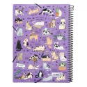 CARTELLA DI COPERTINE MEOW MEOW WEIRD CATS