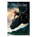 POSTER DRAGON TRAINER LIVE ACTION