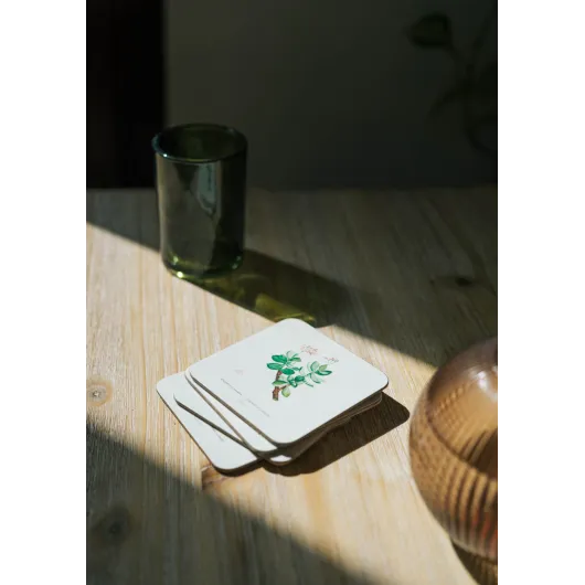 SET 4 SOTTOBICCHIERI BOTANICAL CACTI
