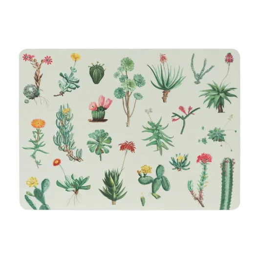 SET 4 SALVAMANTELES BOTANICAL CACTI