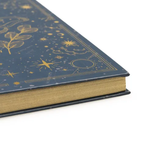 DIARIO DELLA GRATITUDINE ASTRALE