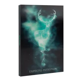QUADERNO LENTICOLARE A5 HARRY POTTER
