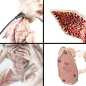 LAMPADA STRANGER THINGS - DEMOGORGONE