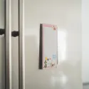 NOTE MAGNETICHE MUMIN