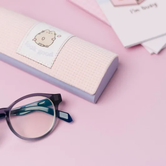 ASTUCCIO PER OCCHIALI PUSHEEN