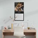 CALENDARIO 2027 30X30 SEBASTIAN KRÜGER STELLE ETERNE