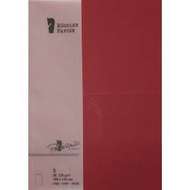 CARTONCINO A6 PAPERADO 5 PEZZI BORDEAUX