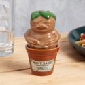 SALIERA E PEPIERA MANDRAGORA CON VASO