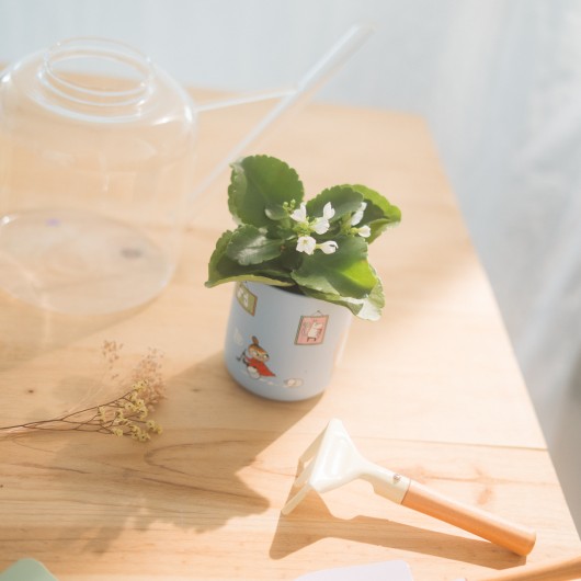 PORTAPENNE CERAMICA MOOMIN